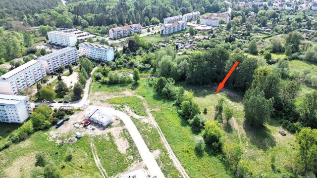 Blick auf Verkaufsfläche und Umgebung - Vertragsfreie Grünfläche mit partiellen Gehölzbewuchs ca. 1,6 km vom Zierker See mit dem Stadthafen Neustrelitz entfernt