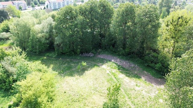 Blick auf Verkaufsfläche und Umgebung - Vertragsfreie Grünfläche mit partiellen Gehölzbewuchs ca. 1,6 km vom Zierker See mit dem Stadthafen Neustrelitz entfernt