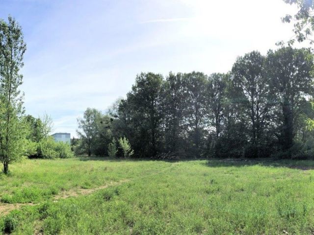 Blick auf Verkaufsfläche und Umgebung - Vertragsfreie Grünfläche mit partiellen Gehölzbewuchs ca. 1,6 km vom Zierker See mit dem Stadthafen Neustrelitz entfernt