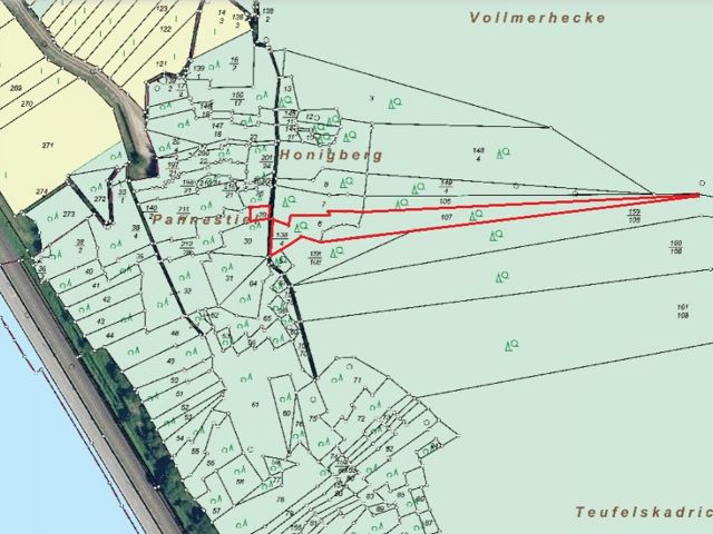 Grundstück kaufen in Lorch (Rheingau) Holzungsfläche an den