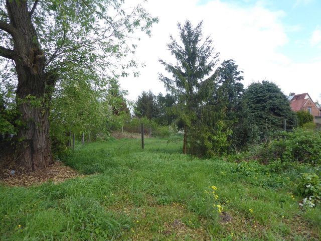 Verkaufsfläche hinter Rothenseer Straße 12 und Umgebung - Baugrundstück mit großzügigem Gartenanteil im Ortskern von Glindenberg *etwa 17 Km nördlich der Altstadt von Magdeburg*