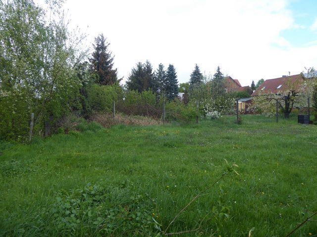 Blick auf den nördlichen Grundstücksbereich und Umgebung - Baugrundstück mit großzügigem Gartenanteil im Ortskern von Glindenberg *etwa 17 Km nördlich der Altstadt von Magdeburg*