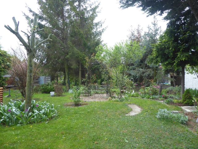 Nördlicher Grundstücksbereich - Baugrundstück mit großzügigem Gartenanteil im Ortskern von Glindenberg *etwa 17 Km nördlich der Altstadt von Magdeburg*