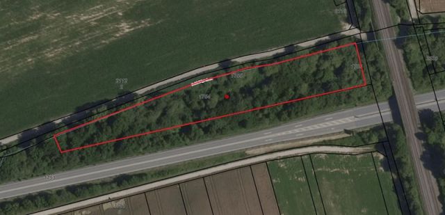 Lageskizze - Waldfläche in der Südpfalz nahe der A65