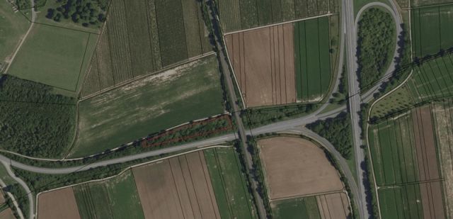 Umgebungsskizze - Waldfläche in der Südpfalz nahe der A65