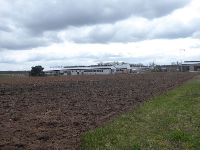 Blick auf Verkaufsfläche und angrenzenden Agrarbetrieb - Über 3 Hektar bis 30.09.2028 verpachtete Landwirtschaftsfläche ** Jahrespacht ca. 683 € **