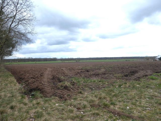 Blick auf Verkaufsfläche und Umgebung - Über 3 Hektar bis 30.09.2028 verpachtete Landwirtschaftsfläche ** Jahrespacht ca. 683 € **