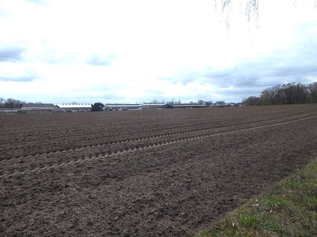 Blick auf Verkaufsfläche und Umgebung - Über 3 Hektar bis 30.09.2028 verpachtete Landwirtschaftsfläche ** Jahrespacht ca. 683 € **