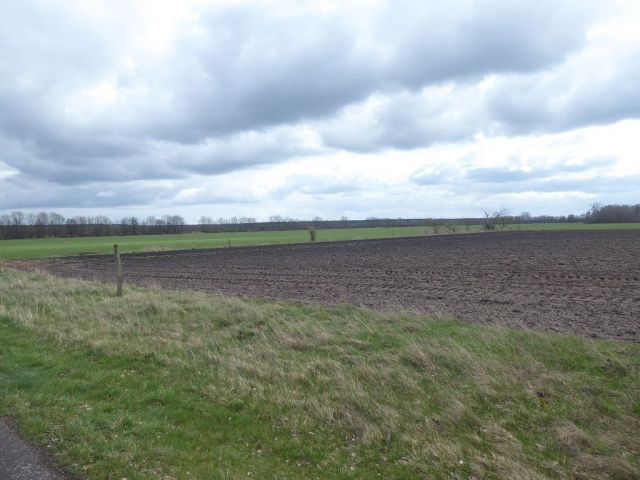 Blick auf östlich angrenzende Umgebung - Über 3 Hektar bis 30.09.2028 verpachtete Landwirtschaftsfläche ** Jahrespacht ca. 683 € **