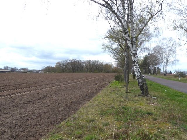 Blick auf Verkaufsfläche und Umgebung - Über 3 Hektar bis 30.09.2028 verpachtete Landwirtschaftsfläche ** Jahrespacht ca. 683 € **