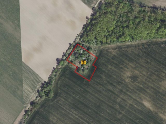 Lichtenow Flur 1 Flurstück 50 - 3 Grundstücke im Landkreis Märkisch-Oderland **insgesamt über 1,8 Hektar**