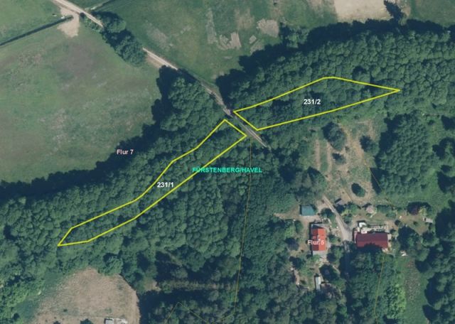 Grundstück kaufen in Fürstenberg/Havel 3 Holzungsflächen in nördlicher