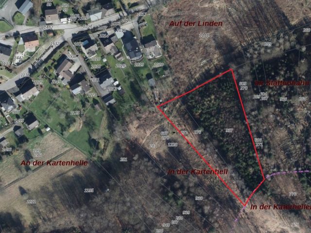 Lageskizze mit Luftbildunterlegung - Vertragsfreie Waldfläche hinter Wohnhäusern in Gummersbach