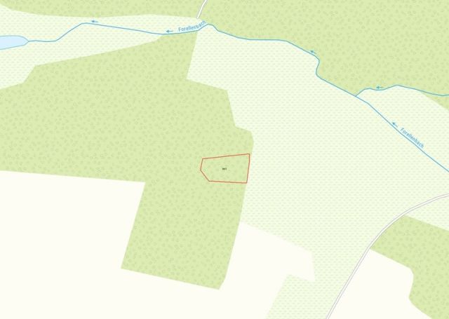 Lageskizze - Waldfläche im Vogtland ca. 10 km östlich vom Plauener Zentrum entfernt