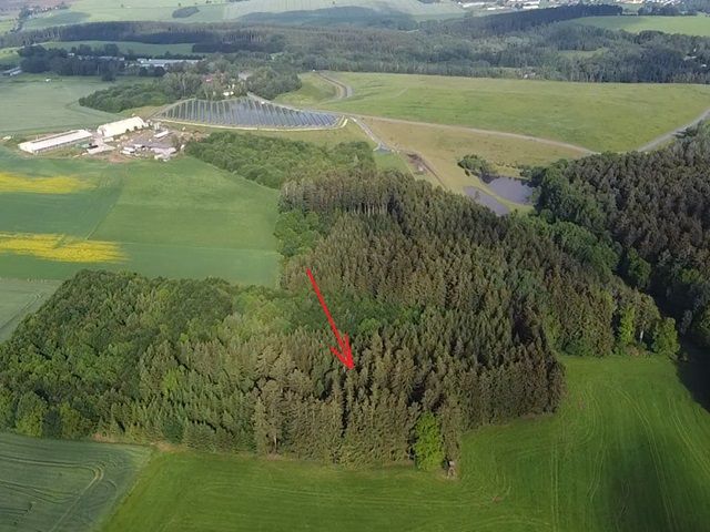 Blick auf Verkaufsfläche und Umgebung - Waldfläche im Vogtland ca. 10 km östlich vom Plauener Zentrum entfernt