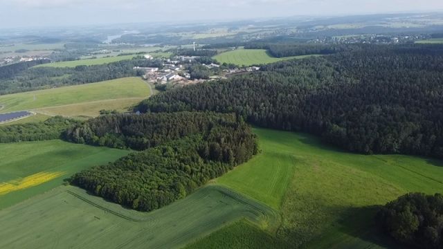 Blick auf Verkaufsfläche und Umgebung - Waldfläche im Vogtland ca. 10 km östlich vom Plauener Zentrum entfernt