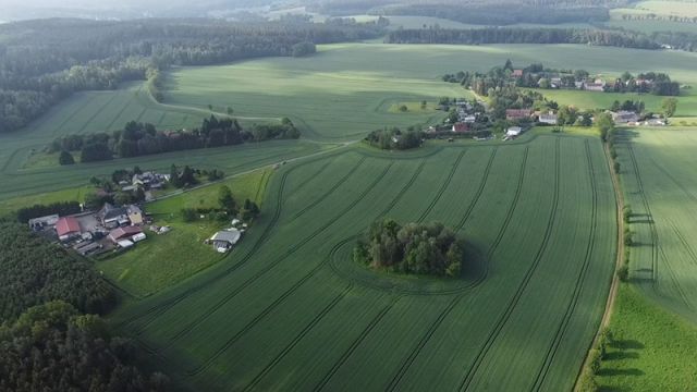 Blick auf die Umgebung - Waldfläche im Vogtland ca. 10 km östlich vom Plauener Zentrum entfernt