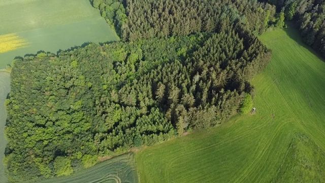 Blick auf Verkaufsfläche und Umgebung - Waldfläche im Vogtland ca. 10 km östlich vom Plauener Zentrum entfernt