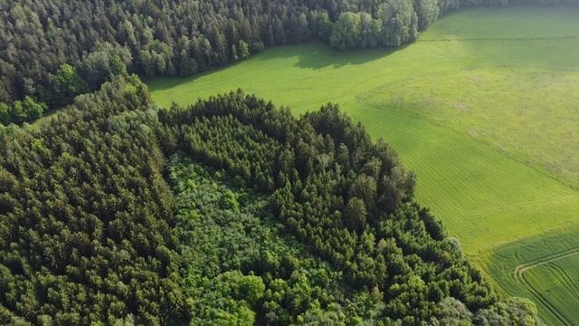 Blick auf Verkaufsfläche und Umgebung - Waldfläche im Vogtland ca. 10 km östlich vom Plauener Zentrum entfernt