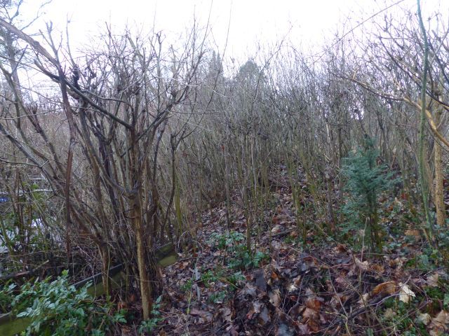 Lage des Verkaufsgegenstandes - Uferfläche am Zernsdorfer Lankensee