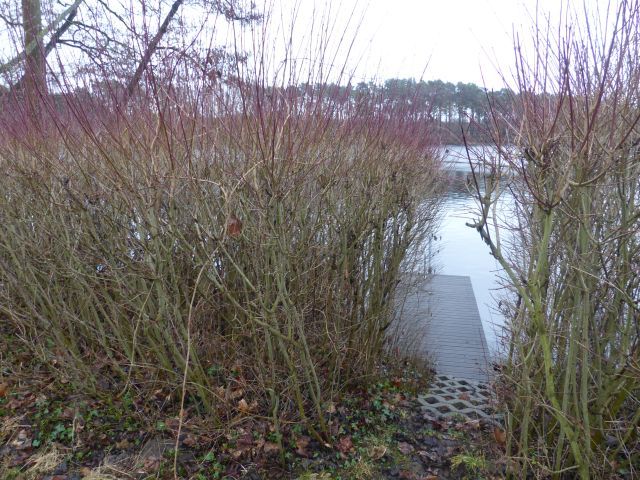 Lage des Verkaufsgegenstandes - Uferfläche am Zernsdorfer Lankensee