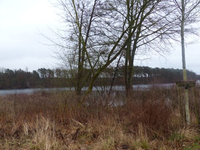 Lage des Verkaufsgegenstandes - Uferfläche am Zernsdorfer Lankensee