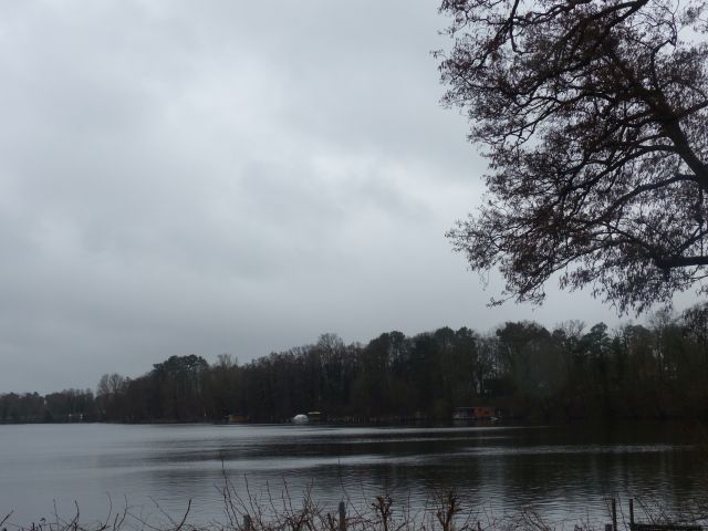 Zernsdorfer Lankensee - Uferfläche am Zernsdorfer Lankensee