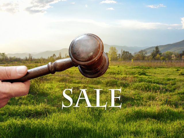 Zwei Flächen in Potsdam-Mittelmark