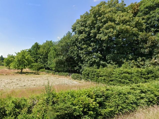 Blick von der Kohlenstraße Richtung Verkaufsgegenstand und auf die Umgebung - Kunstgraben in der Bergstadt Brand-Erbisdorf