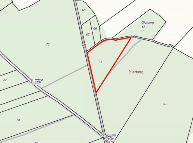 Lageskizze Flurstück 63 - 3 Waldflächen mit insgesamt über 1,5 ha in Streulage um Uebigau-Wahrenbrück im Elbe-Elster-Kreis