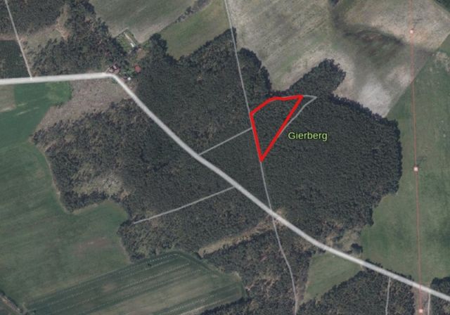 Lageskizze Flurstück 63 - 3 Waldflächen mit insgesamt über 1,5 ha in Streulage um Uebigau-Wahrenbrück im Elbe-Elster-Kreis