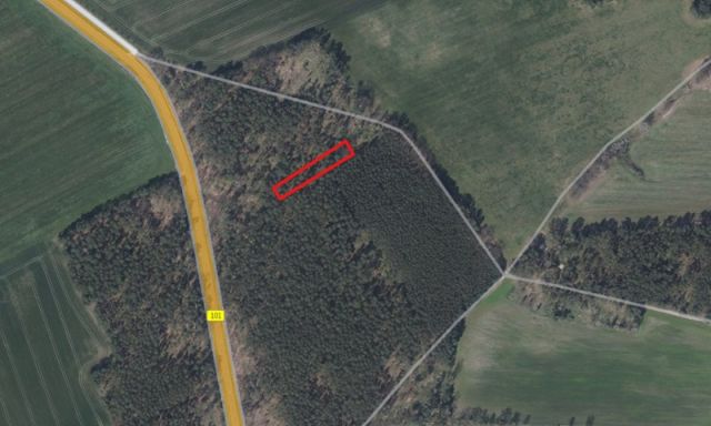 Lageskizze Flurstück 128 - 3 Waldflächen mit insgesamt über 1,5 ha in Streulage um Uebigau-Wahrenbrück im Elbe-Elster-Kreis