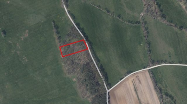 Lageskizze Flurstück 59 - 3 Waldflächen mit insgesamt über 1,5 ha in Streulage um Uebigau-Wahrenbrück im Elbe-Elster-Kreis