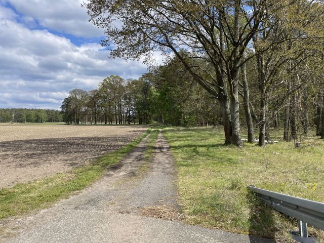 Blick auf Zuwegung zum Flurstück 128 von der B101 und auf die Umgebung - 3 Waldflächen mit insgesamt über 1,5 ha in Streulage um Uebigau-Wahrenbrück im Elbe-Elster-Kreis