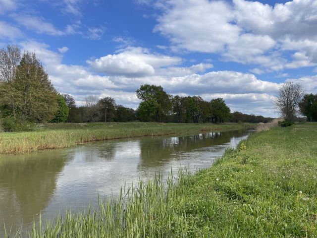 Blick auf Schwarze Elster in Uebigau - 3 Waldflächen mit insgesamt über 1,5 ha in Streulage um Uebigau-Wahrenbrück im Elbe-Elster-Kreis