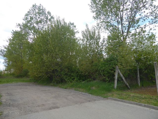 Blick auf Verkaufsflurstück 224 und Umgebung - Unbebaute Flächen im Gewerbegebiet in Kalbe (Milde)