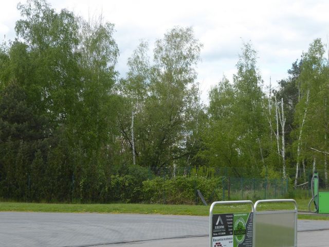 Blick auf Verkaufsflurstück 248 aus Süden - Unbebaute Flächen im Gewerbegebiet in Kalbe (Milde)