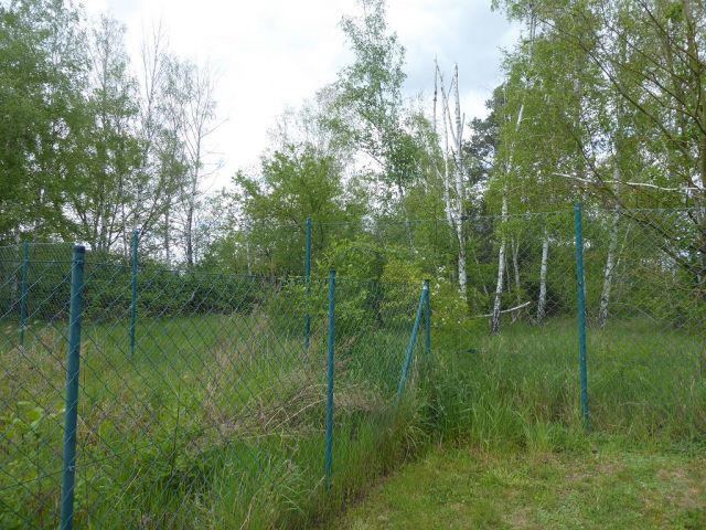 Blick auf Verkaufsflurstück 248 aus Süden - Unbebaute Flächen im Gewerbegebiet in Kalbe (Milde)