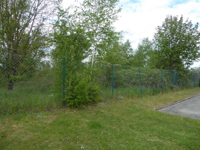 Blick auf Verkaufsflurstück 248 aus Süden - Unbebaute Flächen im Gewerbegebiet in Kalbe (Milde)