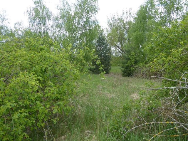 Blick auf Verkaufsflurstück 248 aus Süden - Unbebaute Flächen im Gewerbegebiet in Kalbe (Milde)
