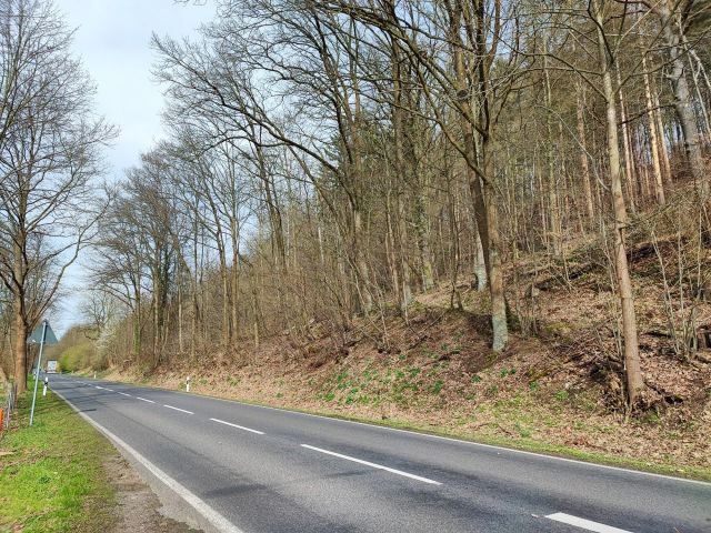Lage des Verkaufsgegenstandes - Vertragsfreie und bewaldete Grundstücke an der Kriebsteiner Straße **nahe der Zschopau**