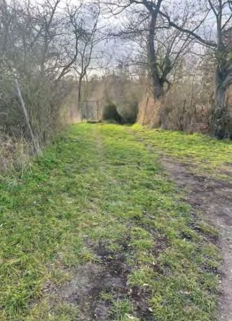 Blick auf Weg Richtung Verkaufsfläche - Ehemaliges Gartengrundstück im Mansfelder Land
