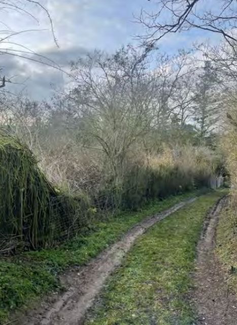 Blick auf Verkaufsfläche und Umgebung - Ehemaliges Gartengrundstück im Mansfelder Land