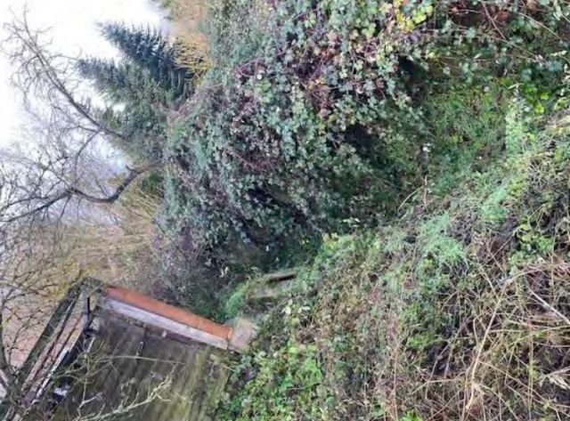 Blick auf Verkaufsflurstück 872/158 und Umgebung - Ehemaliges Gartengrundstück im Mansfelder Land