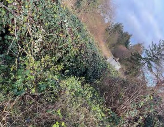Blick auf Verkaufsfläche und Umgebung - Ehemaliges Gartengrundstück im Mansfelder Land