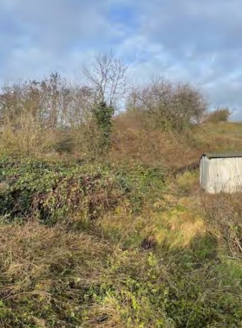 Blick auf Verkaufsfläche und Umgebung - Ehemaliges Gartengrundstück im Mansfelder Land