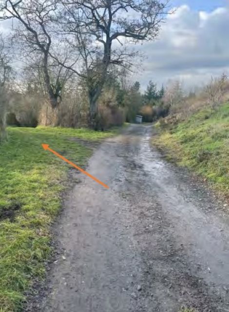Blick auf Hauptweg und Umgebung - links Weg zum Verkaufsgegenstand - Ehemaliges Gartengrundstück im Mansfelder Land
