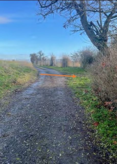 Blick auf Hauptweg und Umgebung - rechts Weg zum Verkaufsgegenstand - Ehemaliges Gartengrundstück im Mansfelder Land
