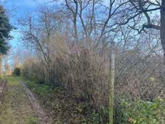 Blick auf Verkaufsfläche und Umgebung - Ehemaliges Gartengrundstück im Mansfelder Land