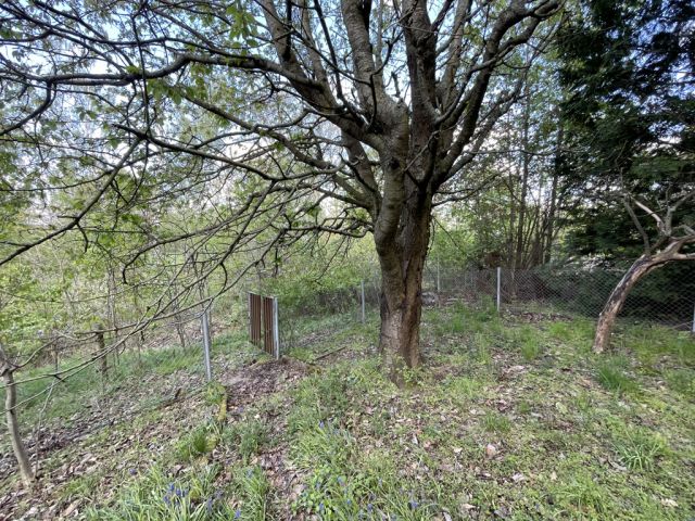 Grundstück - Ruhig gelegenes Erholungsgrundstück mit Gartenhaus und Terrasse **Lage zwischen Leipzig, Dresden und Chemnitz**